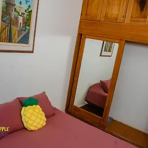 Pineapple Hospitality , Mayaguez Puerto Rico